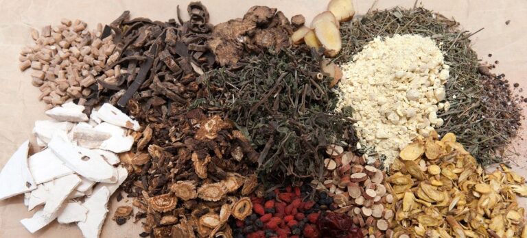 medecine tradionnelle inde