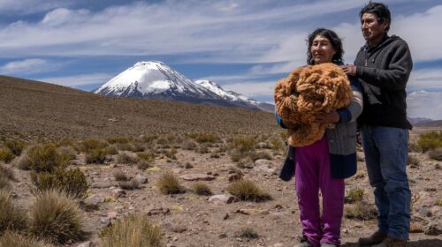 image1170x530cropped