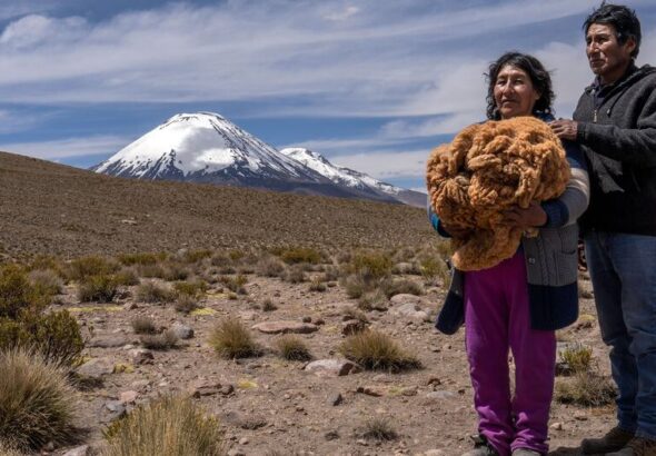 image1170x530cropped